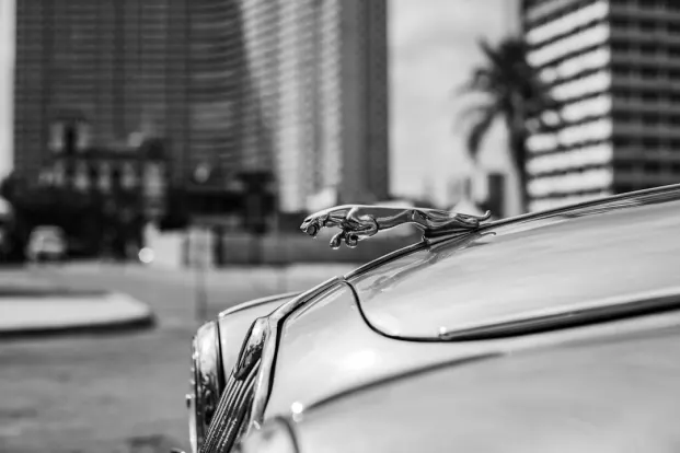 포켓윈 카지노 안드로이드/iOS 앱