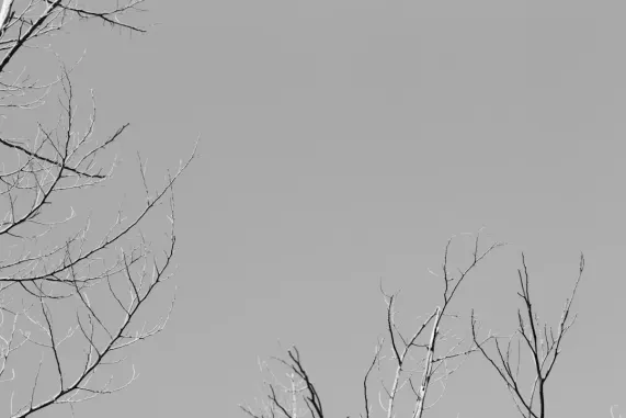 포켓윈 카지노 지원